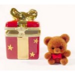 Teddy Bear in Present Box