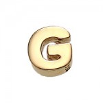 What is in Your Heart? 14k Gold Letter G