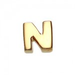 What is in Your Heart? 14k Gold Letter N