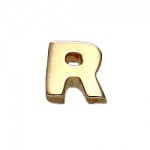 What is in Your Heart? 14k Gold Letter R