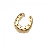 What is in Your Heart? 14k Gold Horseshoe