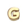 What is in Your Heart? 14k Gold Letter G