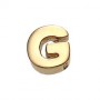 What is in Your Heart? 14k Gold Letter G