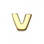 What is in Your Heart? 14k Gold Letter V