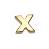 What is in Your Heart? 14k Gold Letter X