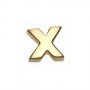 What is in Your Heart? 14k Gold Letter X
