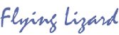 Flying Lizard Jewelry