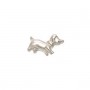 What is in Your Heart? Silver Dog
